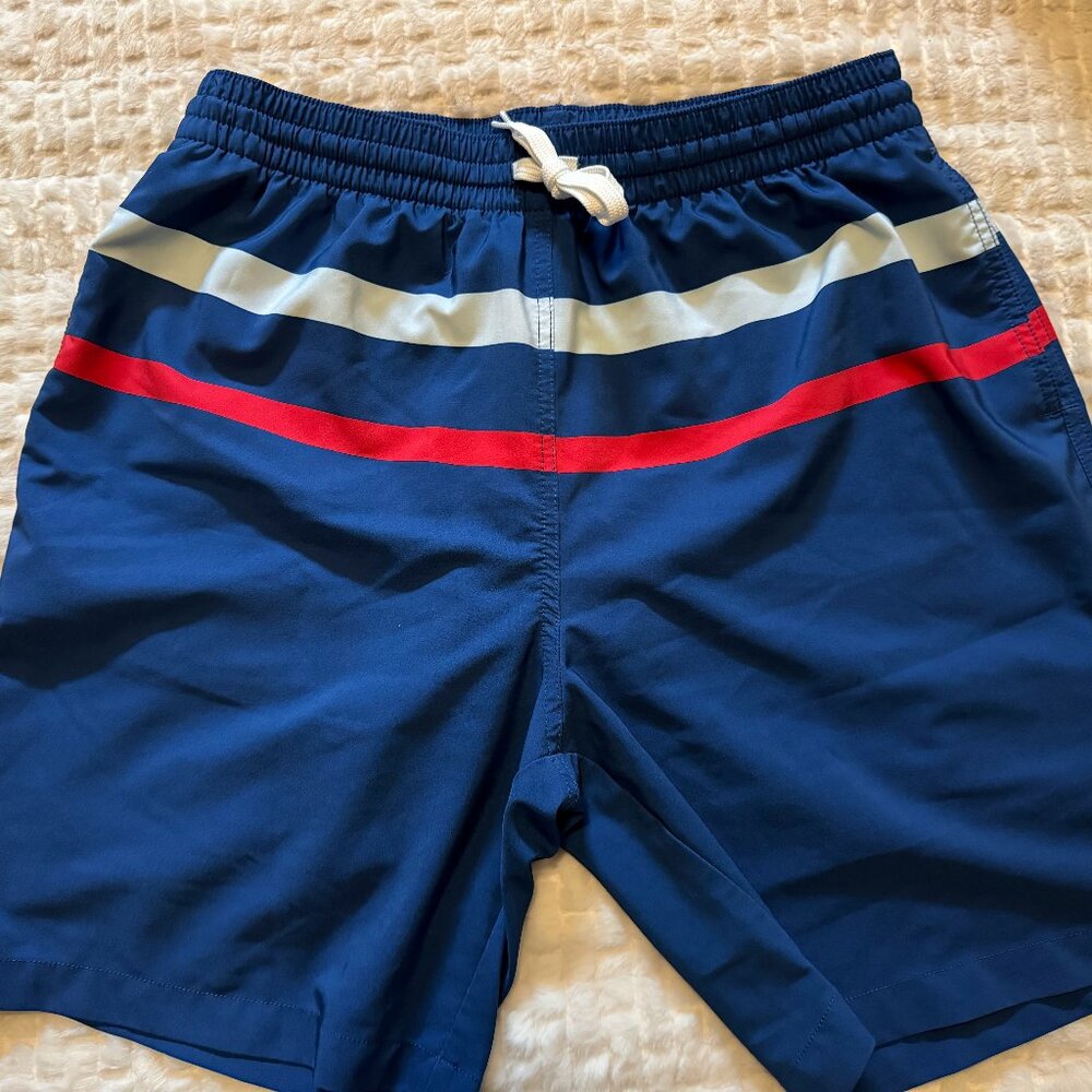 Chubbies Men's Stretch Lined Swim Trunk